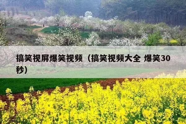 搞笑视屏爆笑视频(搞笑视频大全 爆笑30秒)