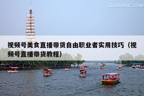 视频号美食直播带货自由职业者实用技巧(视频号直播带货教程)