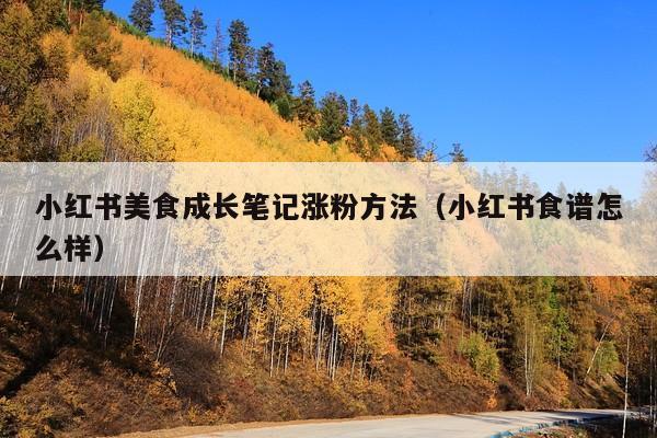 小红书美食成长笔记涨粉方法(小红书食谱怎么样)