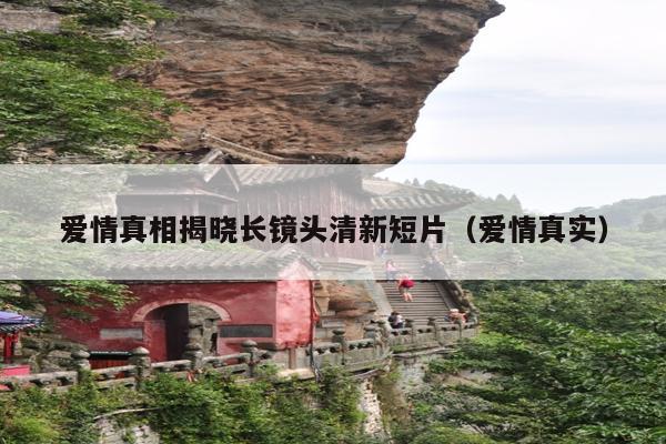 爱情真相揭晓长镜头清新短片(爱情真实)