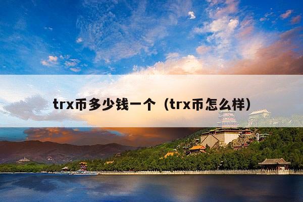 trx币多少钱一个(trx币怎么样)