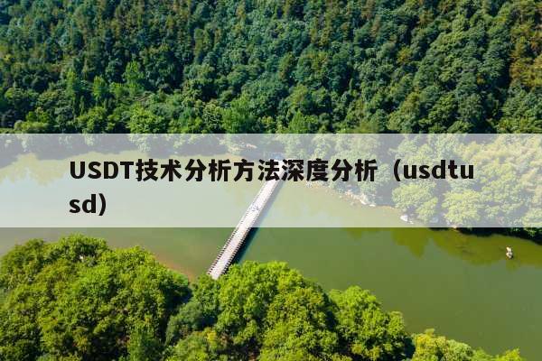USDT技术分析方法深度分析(usdtusd)