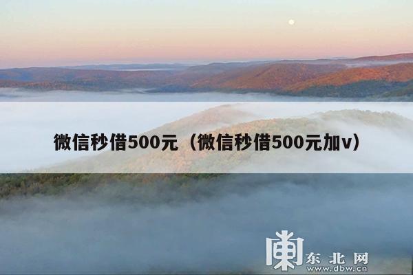 微信秒借500元(微信秒借500元加v)