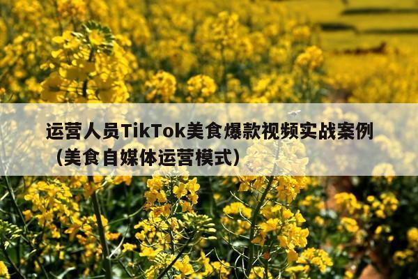 运营人员TikTok美食爆款视频实战案例(美食自媒体运营模式)