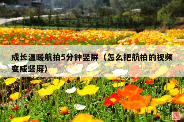 成长温暖航拍5分钟竖屏(怎么把航拍的视频变成竖屏)