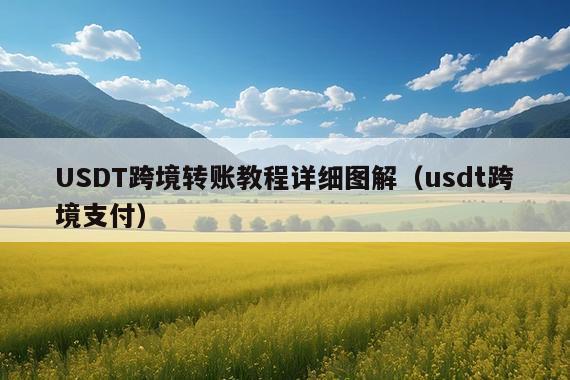 USDT跨境转账教程详细图解(usdt跨境支付)