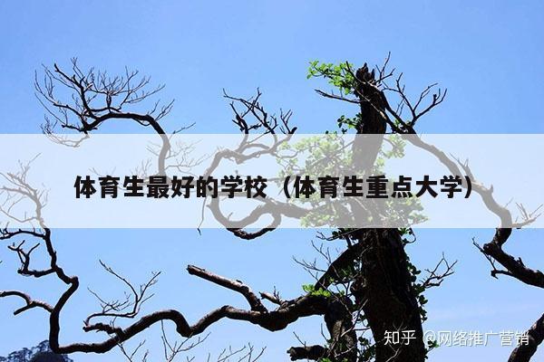 体育生最好的学校(体育生重点大学)