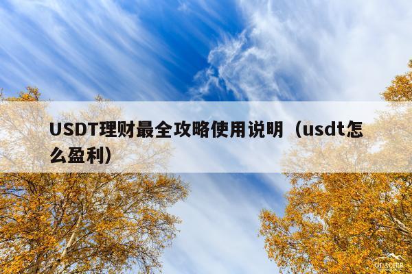 USDT理财最全攻略使用说明(usdt怎么盈利)