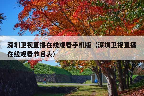 深圳卫视直播在线观看手机版(深圳卫视直播在线观看节目表)