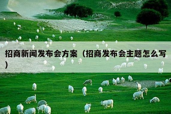 招商新闻发布会方案(招商发布会主题怎么写)