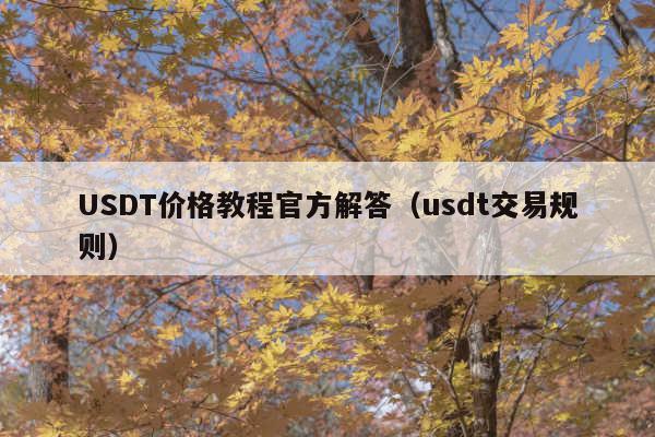 USDT价格教程官方解答(usdt交易规则)