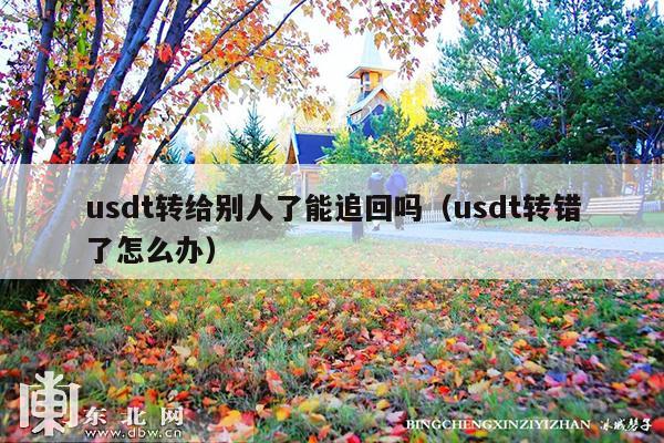 usdt转给别人了能追回吗(usdt转错了怎么办)