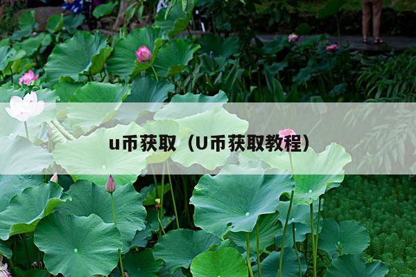 u币获取(U币获取教程)