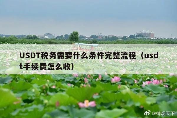 USDT税务需要什么条件完整流程(usdt手续费怎么收)