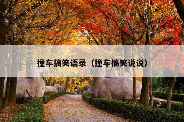 撞车搞笑语录(撞车搞笑说说)