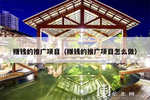 赚钱的推广项目(赚钱的推广项目怎么做)