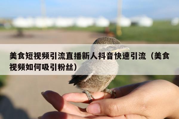 美食短视频引流直播新人抖音快速引流(美食视频如何吸引粉丝)