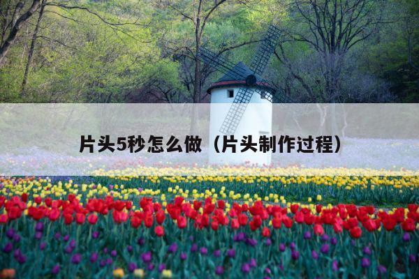 片头5秒怎么做(片头制作过程)