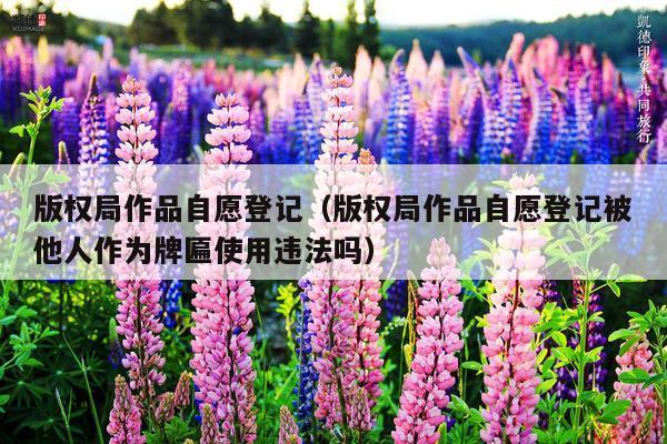版权局作品自愿登记(版权局作品自愿登记被他人作为牌匾使用违法吗)