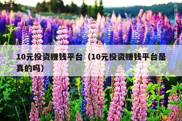 10元投资赚钱平台(10元投资赚钱平台是真的吗)