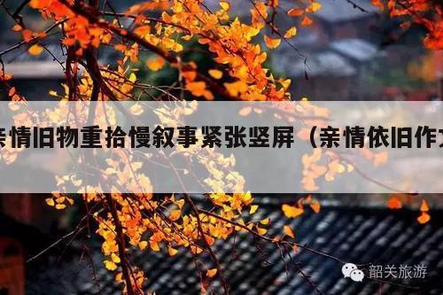 亲情旧物重拾慢叙事紧张竖屏(亲情依旧作文)
