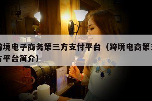 跨境电子商务第三方支付平台(跨境电商第三方平台简介)