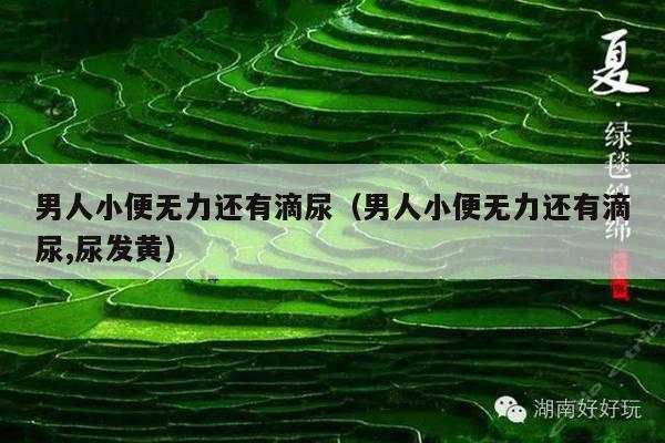 男人小便无力还有滴尿(男人小便无力还有滴尿,尿发黄)