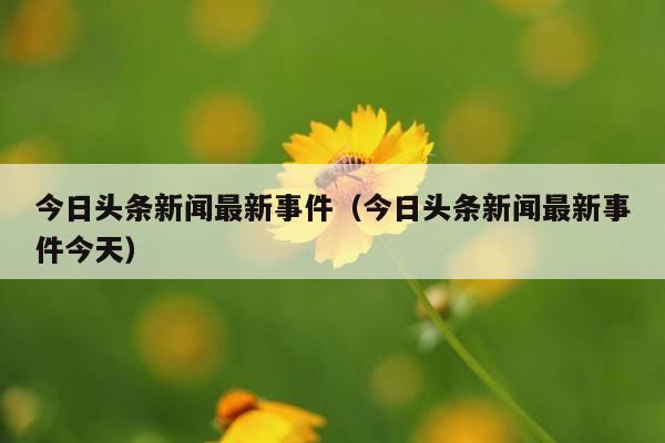 今日头条新闻最新事件(今日头条新闻最新事件今天)