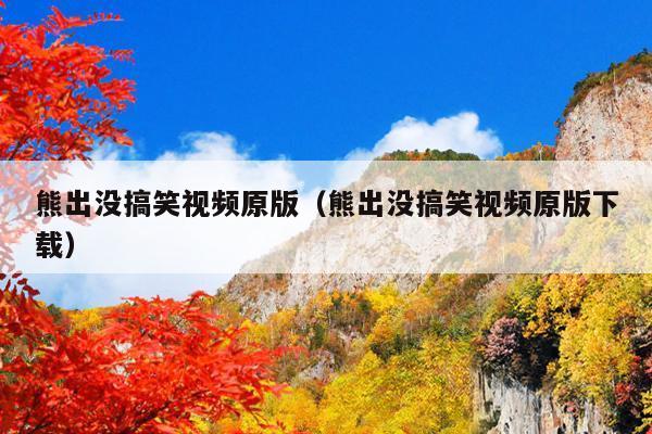 熊出没搞笑视频原版(熊出没搞笑视频原版下载)