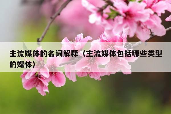 主流媒体的名词解释(主流媒体包括哪些类型的媒体)