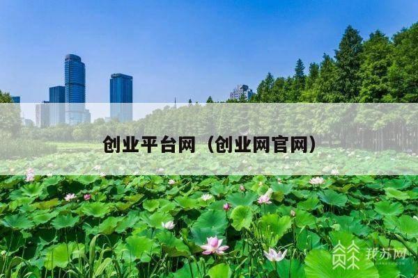 创业平台网(创业网官网)