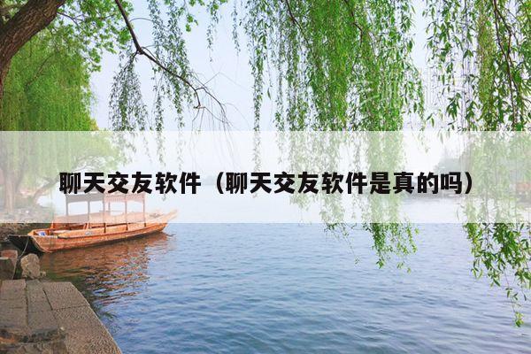 聊天交友软件(聊天交友软件是真的吗)