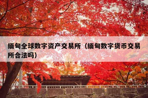 缅甸全球数字资产交易所(缅甸数字货币交易所合法吗)