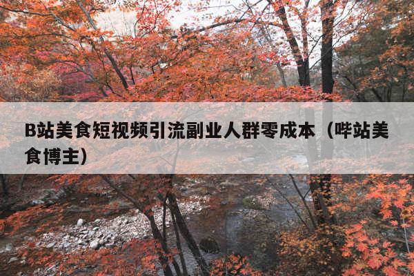 B站美食短视频引流副业人群零成本(哔站美食博主)