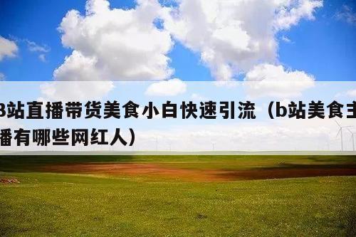 B站直播带货美食小白快速引流(b站美食主播有哪些网红人)