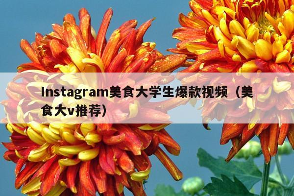 Instagram美食大学生爆款视频(美食大v推荐)