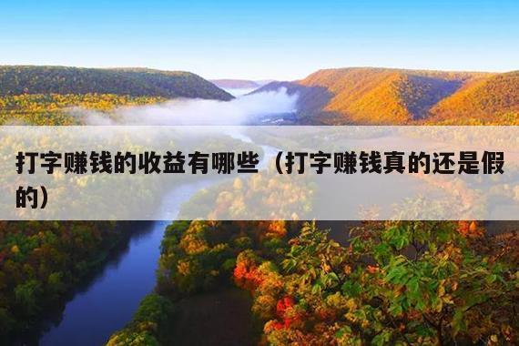 打字赚钱的收益有哪些(打字赚钱真的还是假的)