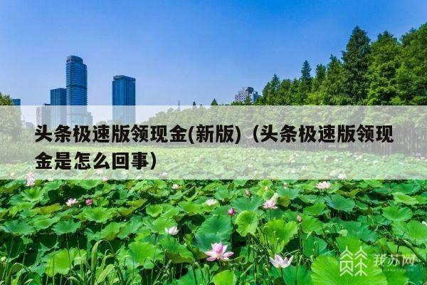 头条极速版领现金(新版)(头条极速版领现金是怎么回事)