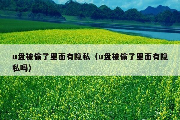 u盘被偷了里面有隐私(u盘被偷了里面有隐私吗)