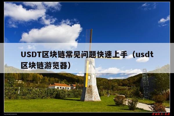USDT区块链常见问题快速上手(usdt区块链游览器)