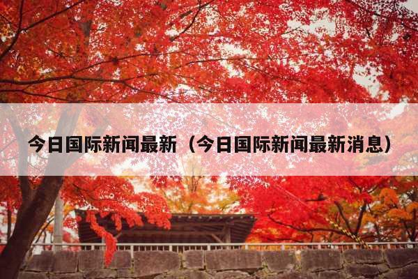 今日国际新闻最新(今日国际新闻最新消息)