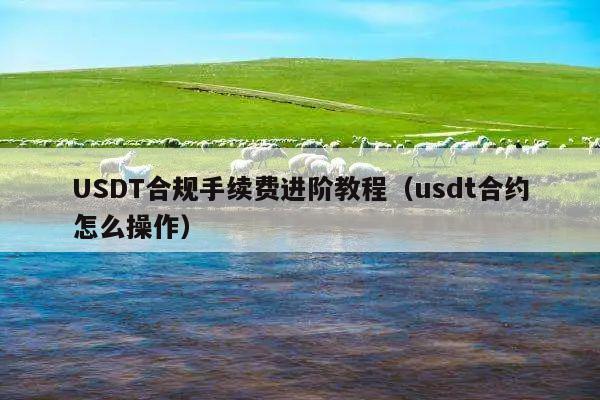 USDT合规手续费进阶教程(usdt合约怎么操作)
