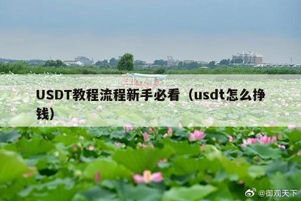 USDT教程流程新手必看(usdt怎么挣钱)