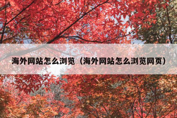 海外网站怎么浏览(海外网站怎么浏览网页)