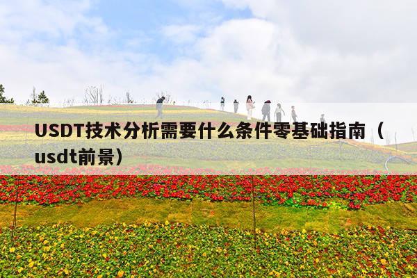 USDT技术分析需要什么条件零基础指南(usdt前景)