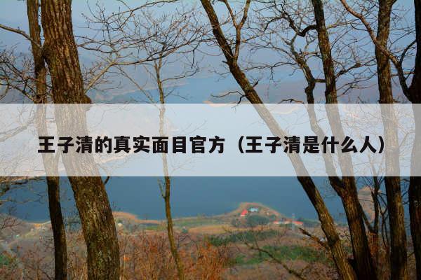 王子清的真实面目官方(王子清是什么人)