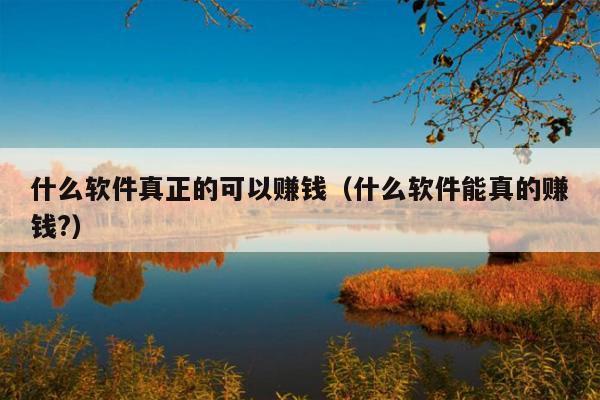 什么软件真正的可以赚钱(什么软件能真的赚钱?)