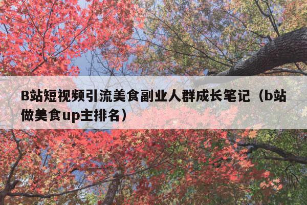 B站短视频引流美食副业人群成长笔记(b站做美食up主排名)