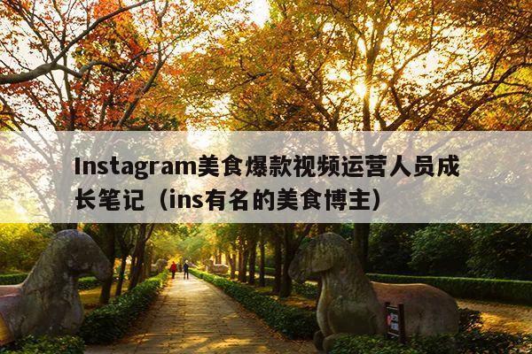 Instagram美食爆款视频运营人员成长笔记(ins有名的美食博主)