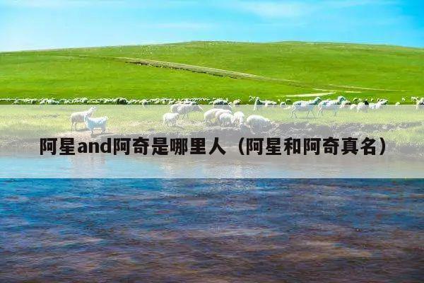 阿星and阿奇是哪里人(阿星和阿奇真名)